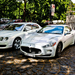 Bentley Continental GT + Maserati Granturismo