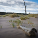 Tentsmuir sands