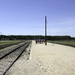 Birkenau 9895