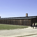 Birkenau 9944