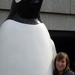 én és a pingvin:-)