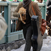 inside-llewyn-davis-oscar-isaac-movie-image-set-photo-1