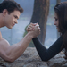 twilight-breaking-dawn-2-movie-image-lutz-stewart