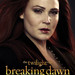 twilight saga breaking dawn part two ver19