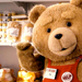 TED RLR BANNER 1