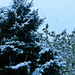 Első hó 2012 2188