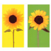 ARV-022~Sunflower-Rainbow-Posters