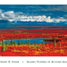 050 AB4492~Alaska-Tundra-in-Autumn-Glory-Posters