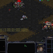 Képes játék 11 - StarCraft