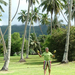 Seychelle Golf Club, kókuszokkal