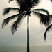 Bavaro Beach, trópusi eső
