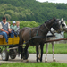 2010 Kelecsény 147