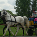 2010 Kelecsény 156