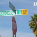 fail-owned-broomrape-street-name-fail