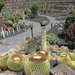 Jardín de Cactus[015] resize
