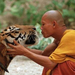 monk with tiger3