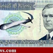 bush iraqidinar