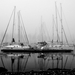 Ködös reggel a kikötőben