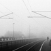 séta a ködben / Ilford HP5@1600 / Minolta X-700
