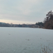 Winter Lake