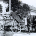 A hagyma szállítása lőcsös kocsival az első világháború végén