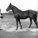 Ló és trénere, 1938.