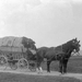 1913-ban fazekaskocsi megrakodva Csákváron 1200x857