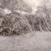 Háncs- és ágfa rakások (tűzrevaló) az udvaron. Kiskunhalas, 1978