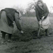 Háztájizó asszonyok kézzel vetnek az 1960–1970-es években (Dunap