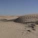 054-DOUZ-Szaharai homokdüne