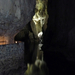 022 -Skocjani barlang