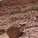 0129 - Wadi Rum -Lawrence-forrás felé