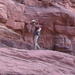 0154 - Wadi Rum -Kanyon