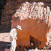 0195 - Wadi Rum -