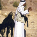 0301 - Petra - Szamár vezető