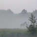 193 - Rijnsburg - Hajnalo köd