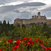 Virágos Assisi