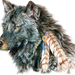 american native indian wolf