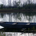 Csónakázó tó 2011.