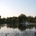 Tatabánya Csónakázó tó 2014. máj 5 070