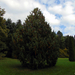 Agostyáni Arborétum 2016, okt. 9 (43)