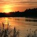 Bentsen-Rio Grande State Park-Texas-USA