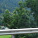 Turracher Pass - Krems völgye 008
