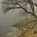 10 Váci Duna - ködös február vége