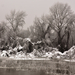 Tisza Winter 01