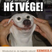 hetvege