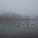 Ködös tópart 70