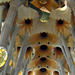 Barcelona, Sagrada Familia oszlopfők