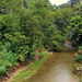 Borneo, őserdő