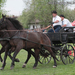 Album - 2013.04.27. Sárbogárd | Hungary Foto